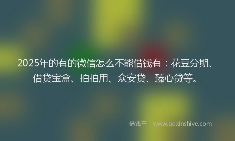 2025年的有的微信怎么不能借钱有：花豆分期、借贷宝盒、拍拍用、众安贷、臻心贷等。