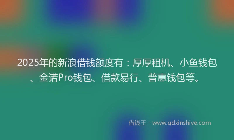 2025年的新浪借钱额度有：厚厚租机、小鱼钱包、金诺Pro钱包、借款易行、普惠钱包等。