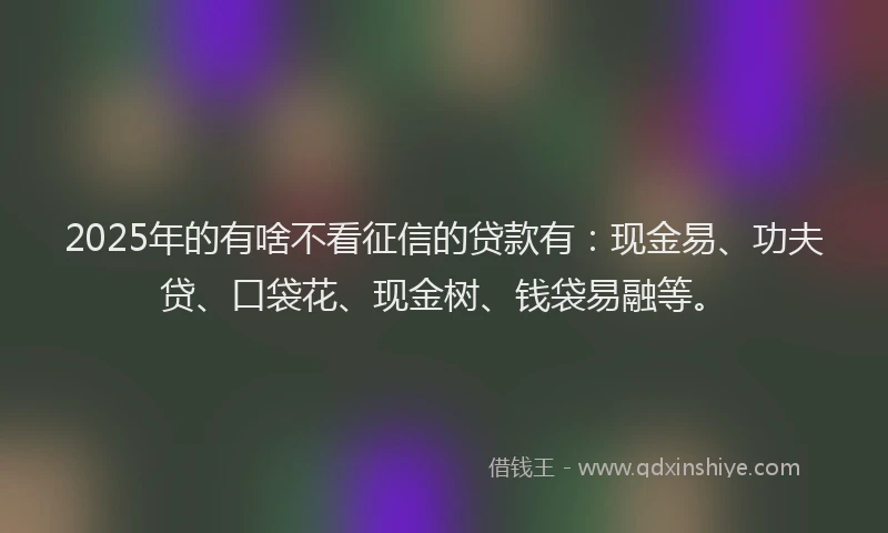 2025年的有啥不看征信的贷款有：现金易、功夫贷、口袋花、现金树、钱袋易融等。