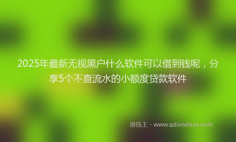2025年最新无视黑户什么软件可以借到钱呢，分享5个不查流水的小额度贷款软件