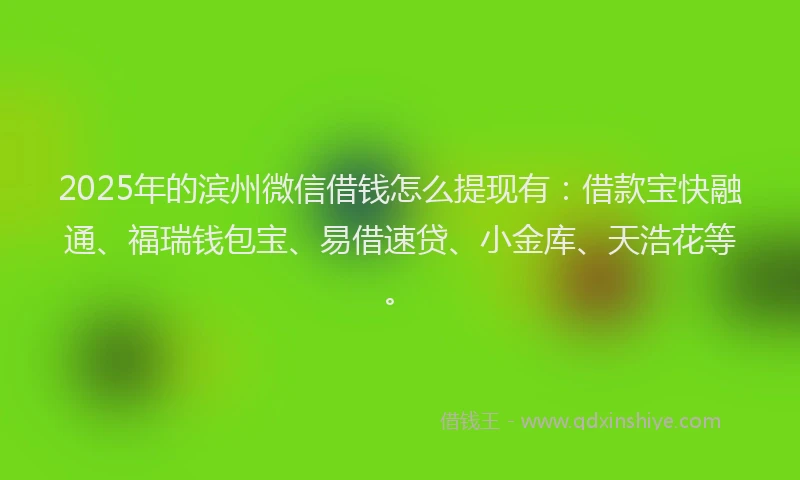 2025年的滨州微信借钱怎么提现有：借款宝快融通、福瑞钱包宝、易借速贷、小金库、天浩花等。