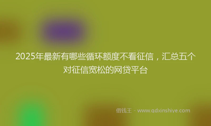 2025年最新有哪些循环额度不看征信，汇总五个对征信宽松的网贷平台