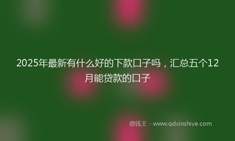 2025年最新有什么好的下款口子吗，汇总五个12月能贷款的口子