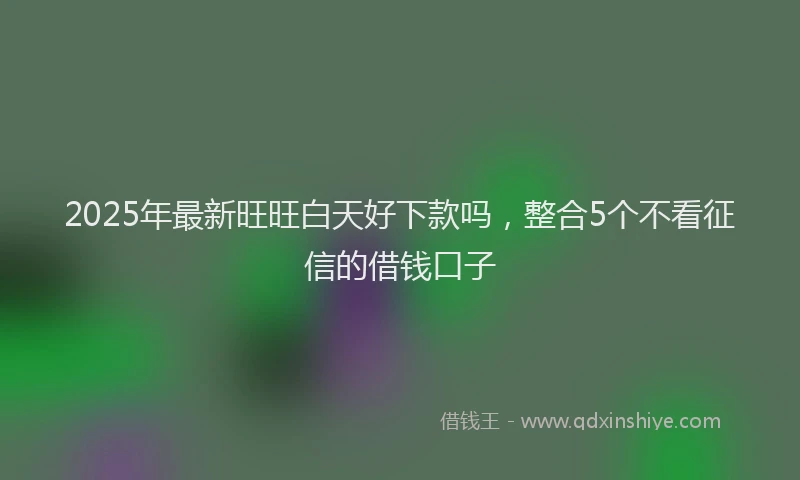 2025年最新旺旺白天好下款吗，整合5个不看征信的借钱口子