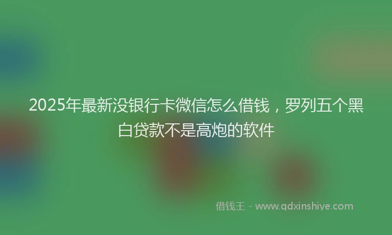2025年最新没银行卡微信怎么借钱，罗列五个黑白贷款不是高炮的软件