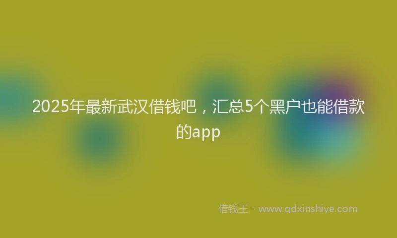 2025年最新武汉借钱吧，汇总5个黑户也能借款的app