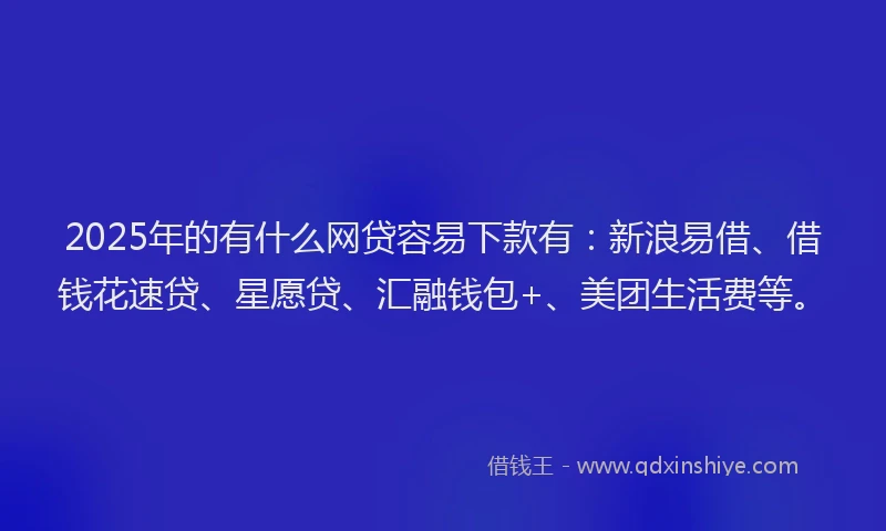 2025年的有什么网贷容易下款有：新浪易借、借钱花速贷、星愿贷、汇融钱包+、美团生活费等。