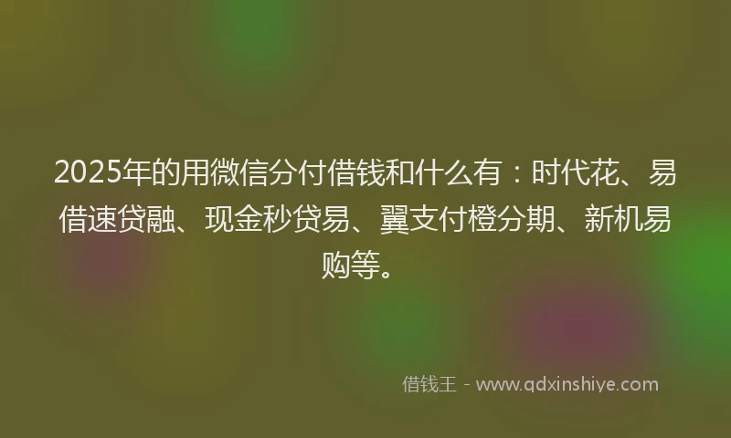 2025年的用微信分付借钱和什么有：时代花、易借速贷融、现金秒贷易、翼支付橙分期、新机易购等。