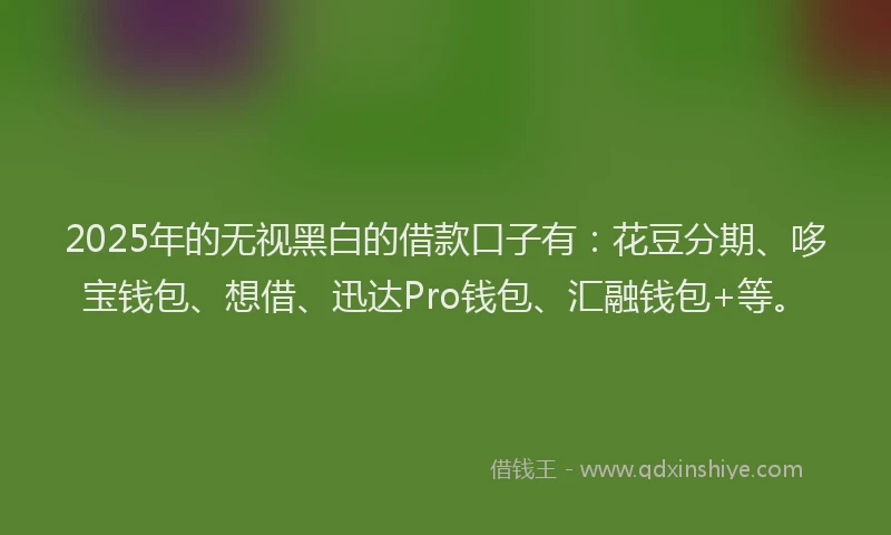 2025年的无视黑白的借款口子有：花豆分期、哆宝钱包、想借、迅达Pro钱包、汇融钱包+等。