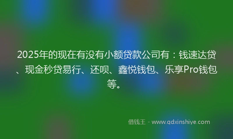 2025年的现在有没有小额贷款公司有：钱速达贷、现金秒贷易行、还呗、鑫悦钱包、乐享Pro钱包等。