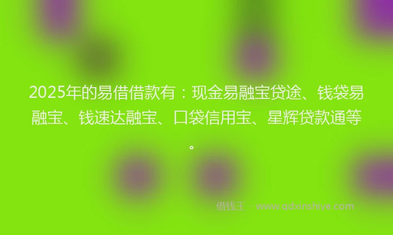 2025年的易借借款有：现金易融宝贷途、钱袋易融宝、钱速达融宝、口袋信用宝、星辉贷款通等。