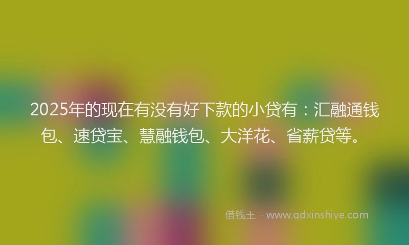 2025年的现在有没有好下款的小贷有：汇融通钱包、速贷宝、慧融钱包、大洋花、省薪贷等。