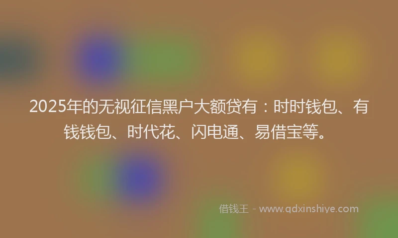 2025年的无视征信黑户大额贷有：时时钱包、有钱钱包、时代花、闪电通、易借宝等。