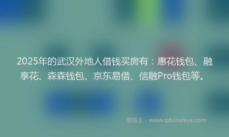 2025年的武汉外地人借钱买房有：惠花钱包、融享花、森森钱包、京东易借、信融Pro钱包等。