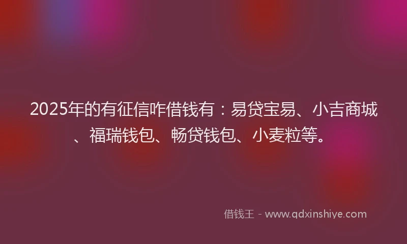 2025年的有征信咋借钱有：易贷宝易、小吉商城、福瑞钱包、畅贷钱包、小麦粒等。