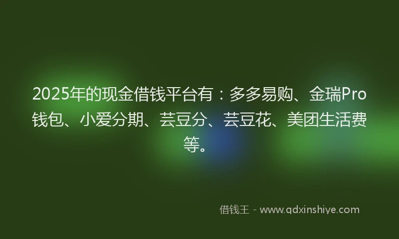 2025年的现金借钱平台有：多多易购、金瑞Pro钱包、小爱分期、芸豆分、芸豆花、美团生活费等。
