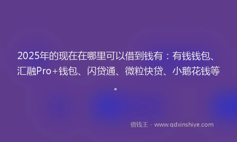 2025年的现在在哪里可以借到钱有：有钱钱包、汇融Pro+钱包、闪贷通、微粒快贷、小鹅花钱等。