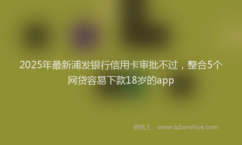 2025年最新浦发银行信用卡审批不过，整合5个网贷容易下款18岁的app