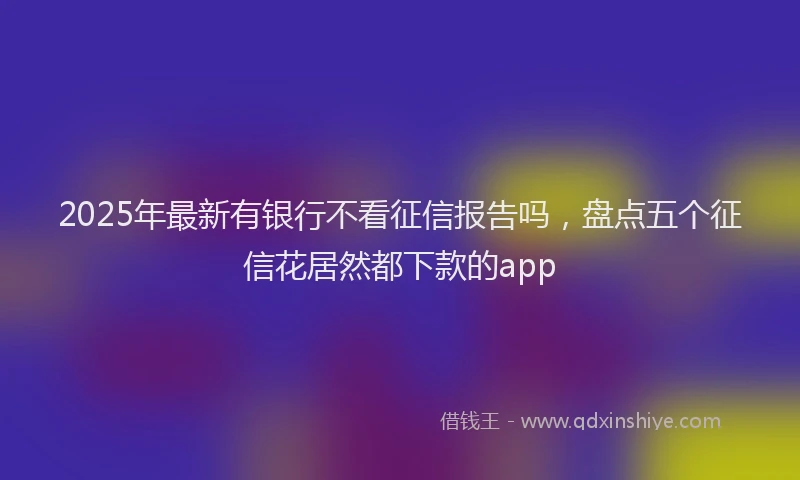 2025年最新有银行不看征信报告吗，盘点五个征信花居然都下款的app