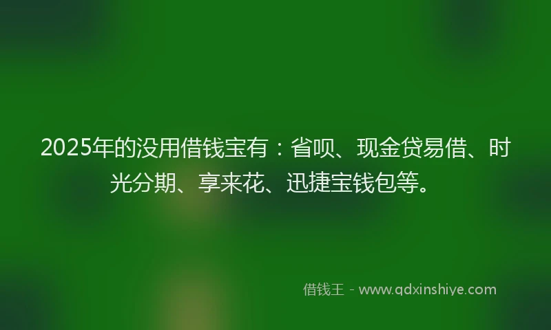 2025年的没用借钱宝有：省呗、现金贷易借、时光分期、享来花、迅捷宝钱包等。