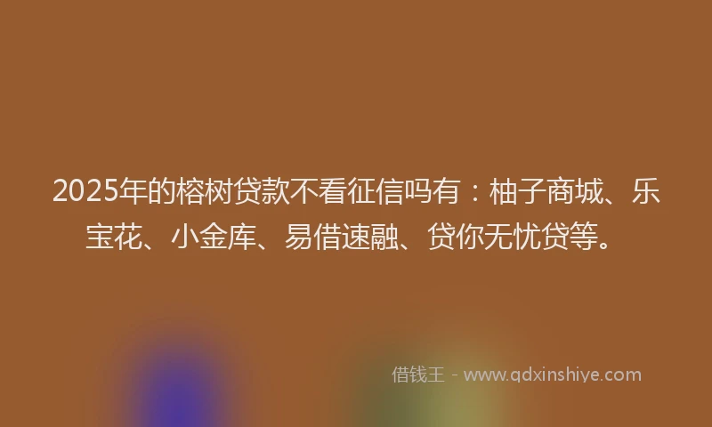 2025年的榕树贷款不看征信吗有：柚子商城、乐宝花、小金库、易借速融、贷你无忧贷等。
