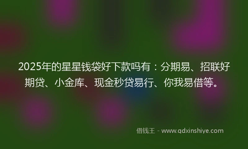 2025年的星星钱袋好下款吗有：分期易、招联好期贷、小金库、现金秒贷易行、你我易借等。