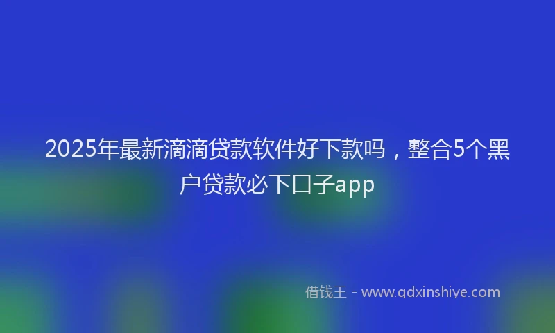 2025年最新滴滴贷款软件好下款吗，整合5个黑户贷款必下口子app