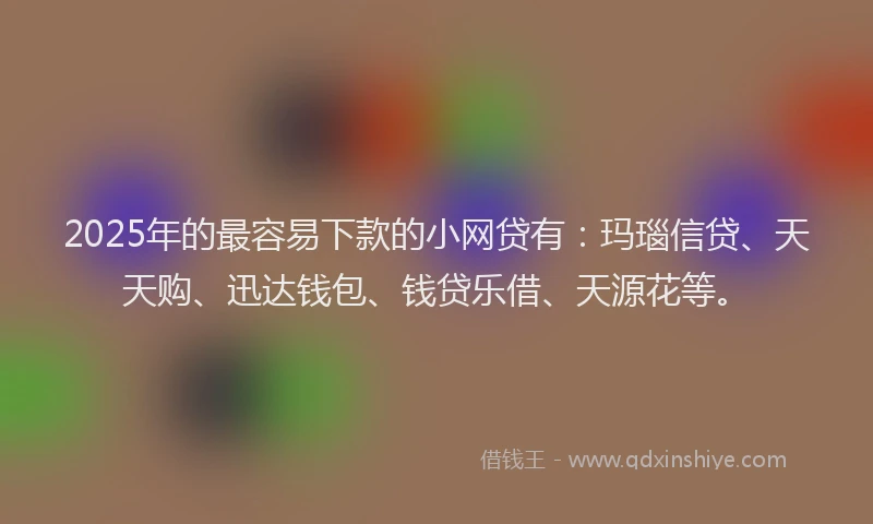2025年的最容易下款的小网贷有：玛瑙信贷、天天购、迅达钱包、钱贷乐借、天源花等。