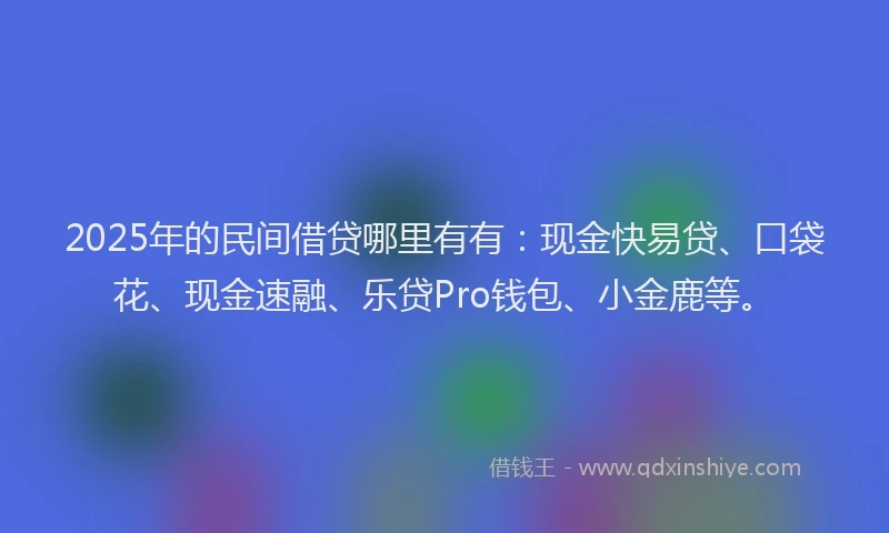 2025年的民间借贷哪里有有：现金快易贷、口袋花、现金速融、乐贷Pro钱包、小金鹿等。