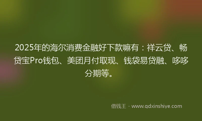 2025年的海尔消费金融好下款嘛有：祥云贷、畅贷宝Pro钱包、美团月付取现、钱袋易贷融、哆哆分期等。