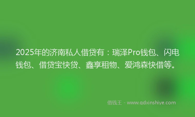 2025年的济南私人借贷有：瑞泽Pro钱包、闪电钱包、借贷宝快贷、鑫享租物、爱鸿森快借等。