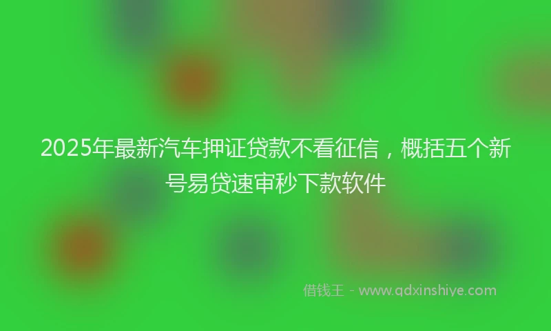 2025年最新汽车押证贷款不看征信，概括五个新号易贷速审秒下款软件