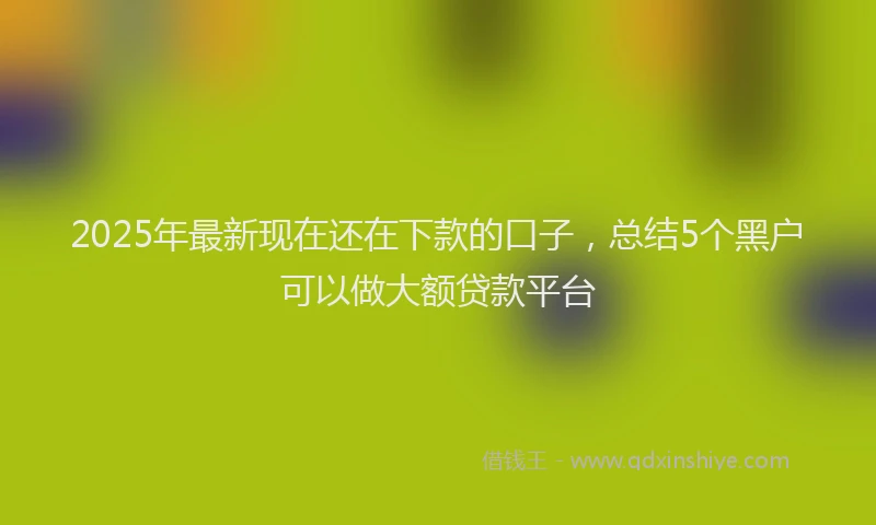 2025年最新现在还在下款的口子，总结5个黑户可以做大额贷款平台