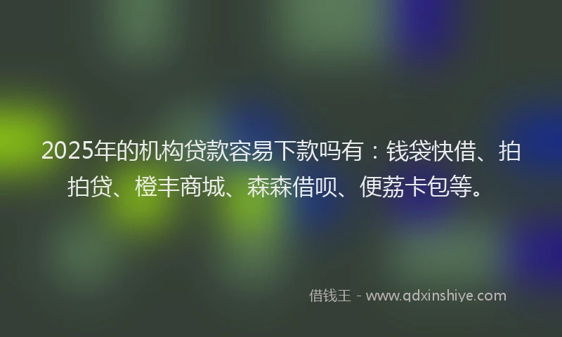 2025年的机构贷款容易下款吗有：钱袋快借、拍拍贷、橙丰商城、森森借呗、便荔卡包等。
