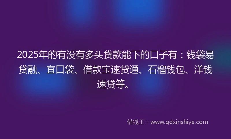 2025年的有没有多头贷款能下的口子有：钱袋易贷融、宜口袋、借款宝速贷通、石榴钱包、洋钱速贷等。