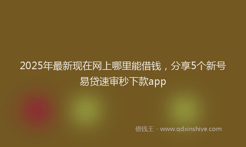 2025年最新现在网上哪里能借钱，分享5个新号易贷速审秒下款app