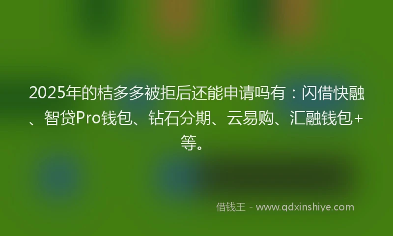 2025年的桔多多被拒后还能申请吗有：闪借快融、智贷Pro钱包、钻石分期、云易购、汇融钱包+等。