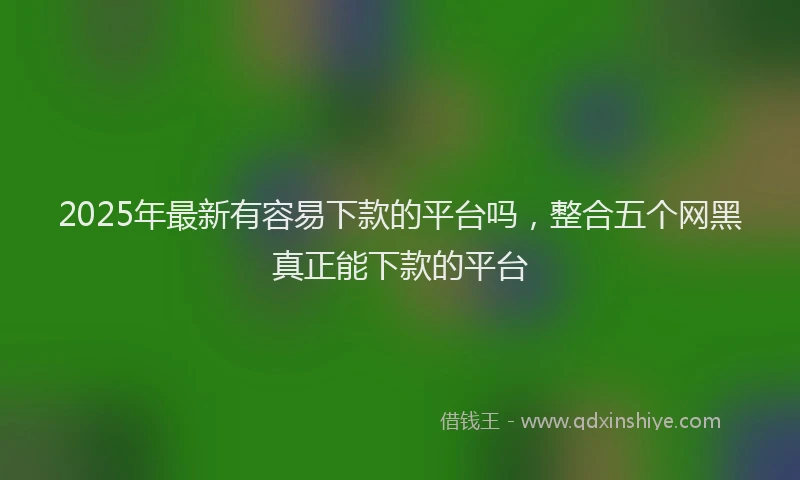 2025年最新有容易下款的平台吗，整合五个网黑真正能下款的平台