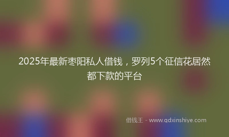 2025年最新枣阳私人借钱，罗列5个征信花居然都下款的平台