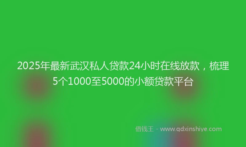2025年最新武汉私人贷款24小时在线放款，梳理5个1000至5000的小额贷款平台