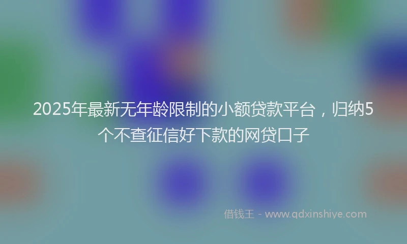 2025年最新无年龄限制的小额贷款平台，归纳5个不查征信好下款的网贷口子