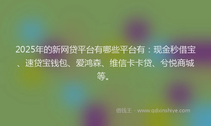 2025年的新网贷平台有哪些平台有：现金秒借宝、速贷宝钱包、爱鸿森、维信卡卡贷、兮悦商城等。