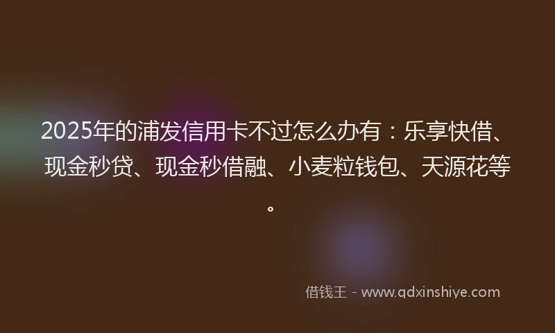 2025年的浦发信用卡不过怎么办有：乐享快借、现金秒贷、现金秒借融、小麦粒钱包、天源花等。