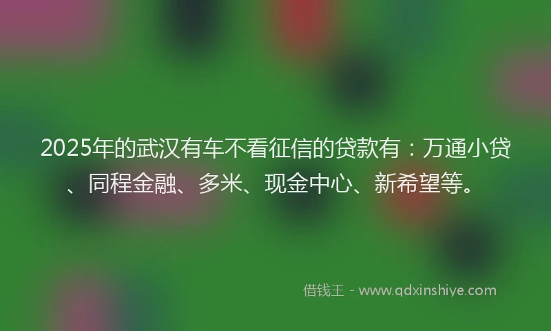 2025年的武汉有车不看征信的贷款有：万通小贷、同程金融、多米、现金中心、新希望等。