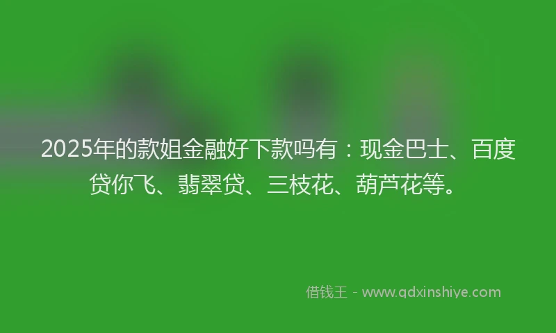 2025年的款姐金融好下款吗有：现金巴士、百度贷你飞、翡翠贷、三枝花、葫芦花等。