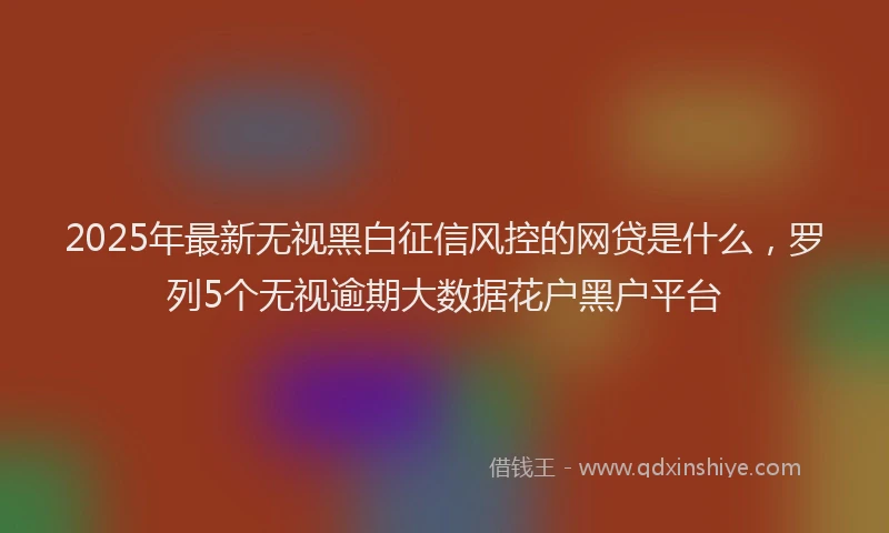 2025年最新无视黑白征信风控的网贷是什么，罗列5个无视逾期大数据花户黑户平台