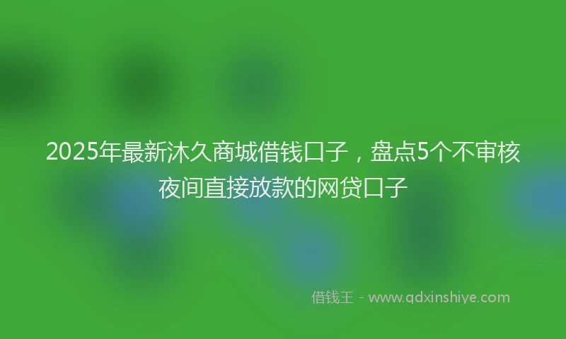 2025年最新沐久商城借钱口子，盘点5个不审核夜间直接放款的网贷口子