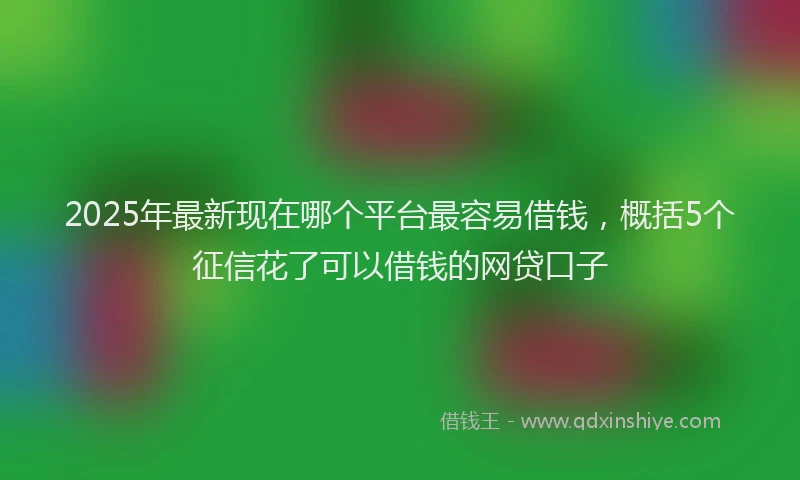 2025年最新现在哪个平台最容易借钱，概括5个征信花了可以借钱的网贷口子