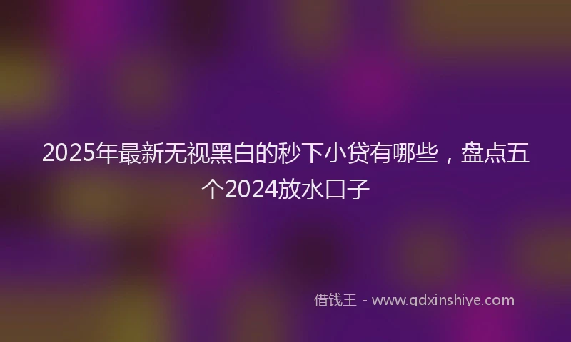 2025年最新无视黑白的秒下小贷有哪些，盘点五个2024放水口子