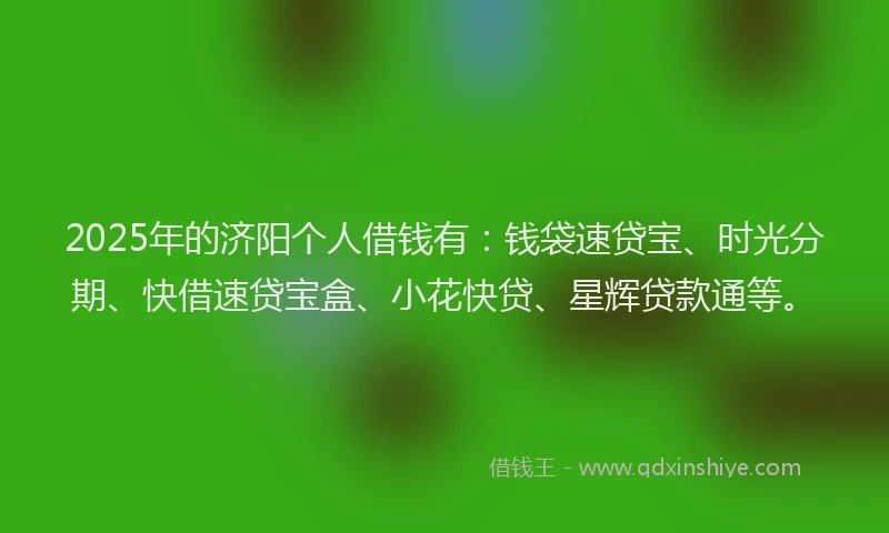 2025年的济阳个人借钱有：钱袋速贷宝、时光分期、快借速贷宝盒、小花快贷、星辉贷款通等。